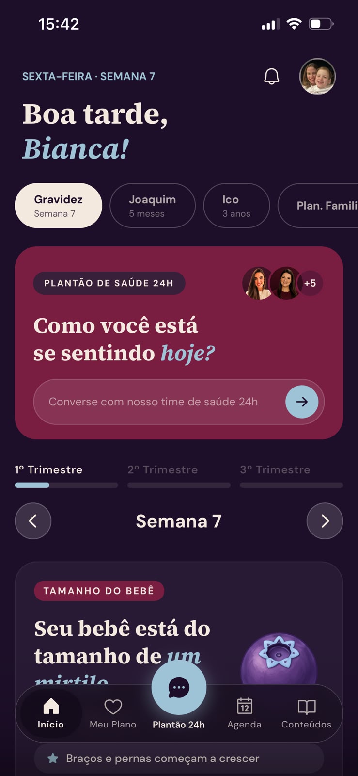 Telas do chat com o Time de Saúde Bloom